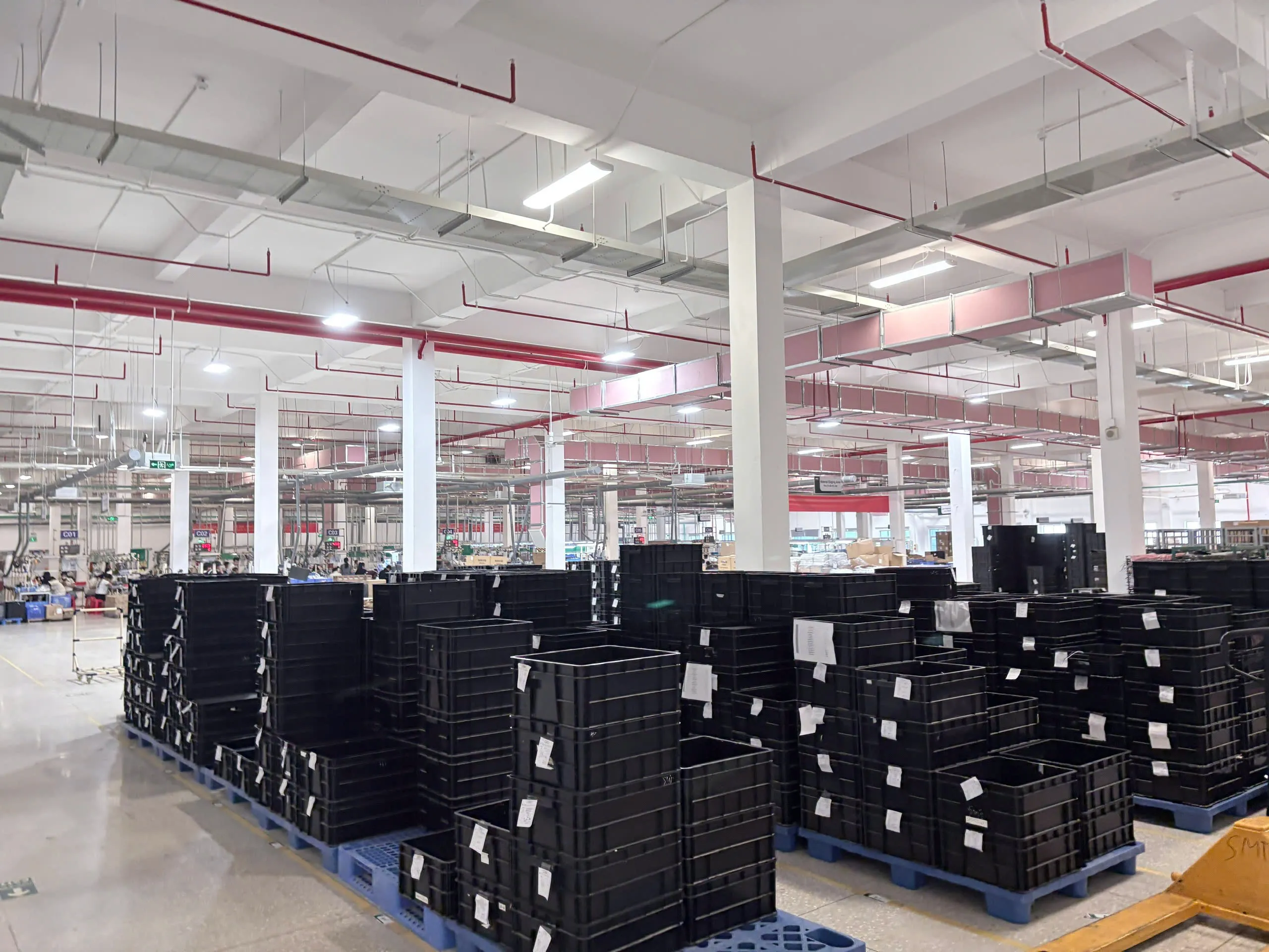 ISD Vietnam Hoạt động thực tế 9
